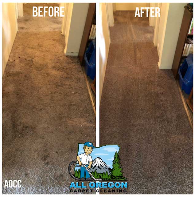 All Oregon Carpet Cleaning gallery