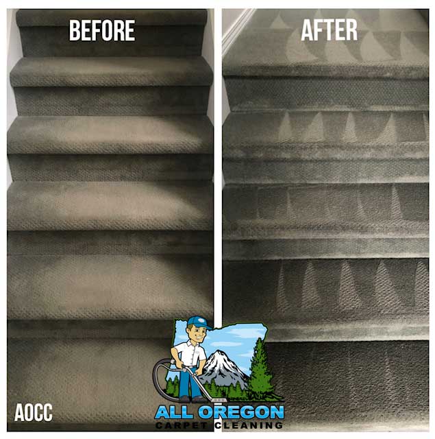 Gallery All Oregon Carpet Cleaning