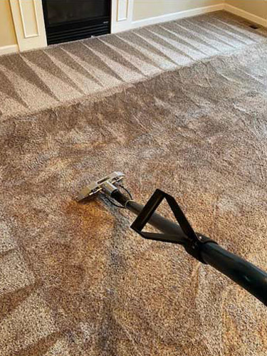 Carpet Cleaning