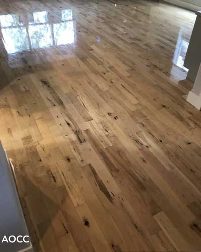 Hardwood Floor Cleaning