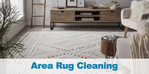 Area Rug Cleaning