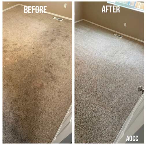 Carpet Cleaning Before and After