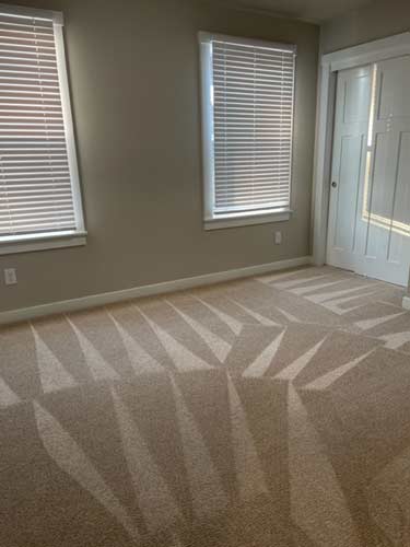 Carpet Cleaning