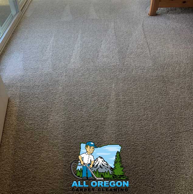 All Oregon Carpet Cleaning gallery