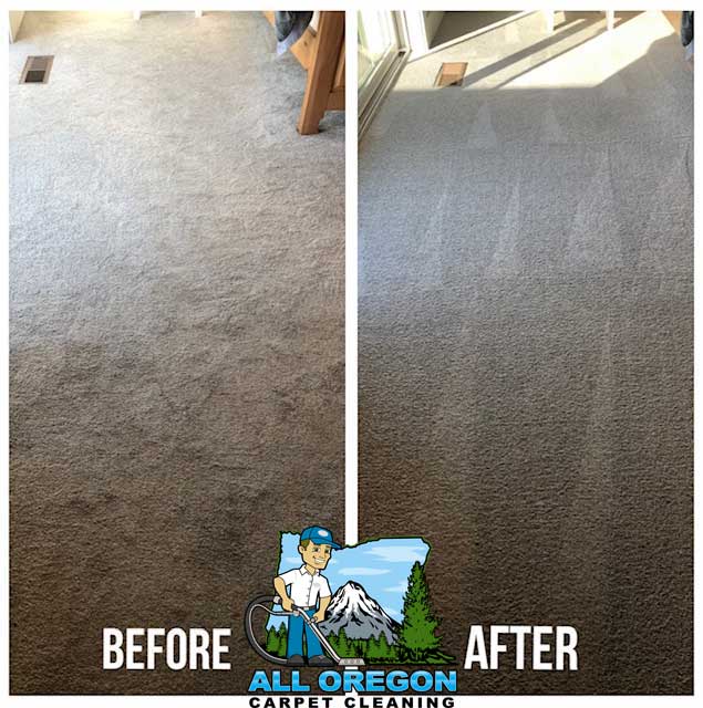 All Oregon Carpet Cleaning gallery