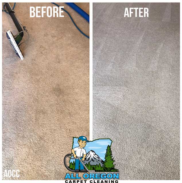 All Oregon Carpet Cleaning gallery