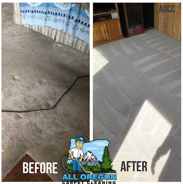 All Oregon Carpet Cleaning gallery