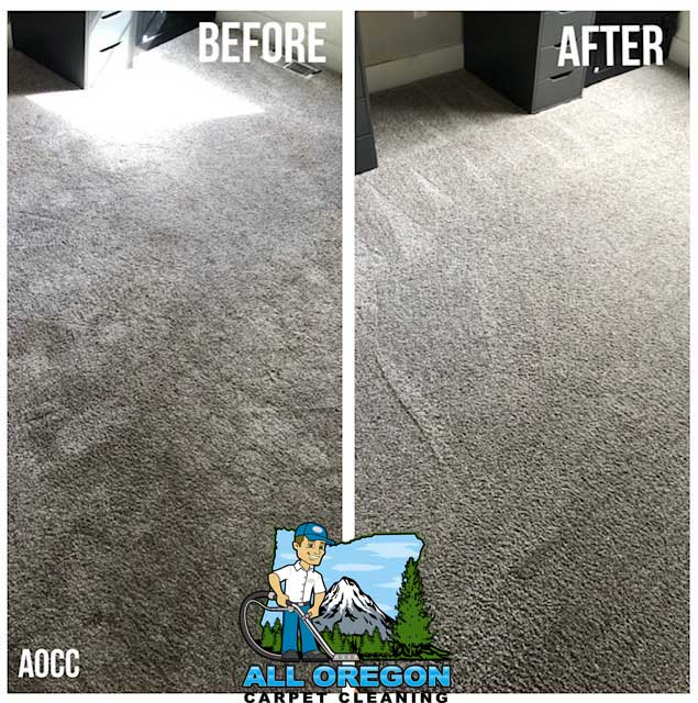 All Oregon Carpet Cleaning gallery