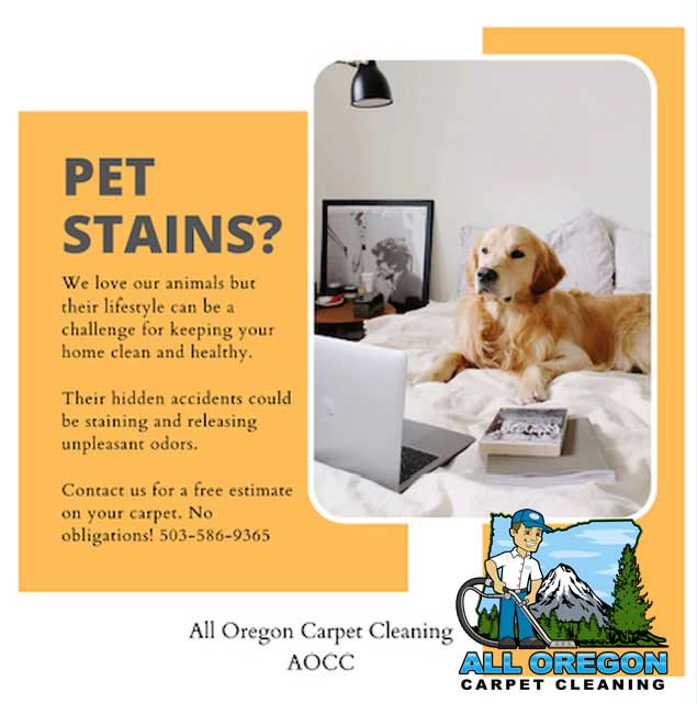 All Oregon Carpet Cleaning gallery