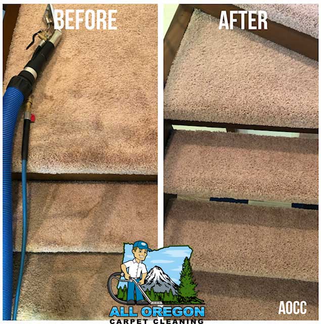 All Oregon Carpet Cleaning gallery
