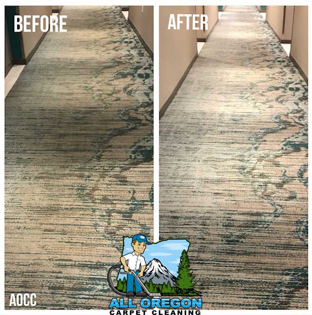 All Oregon Carpet Cleaning gallery