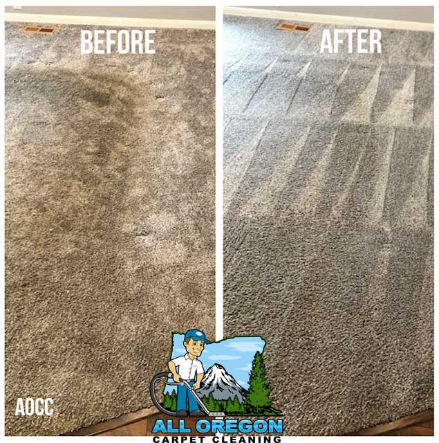 All Oregon Carpet Cleaning gallery