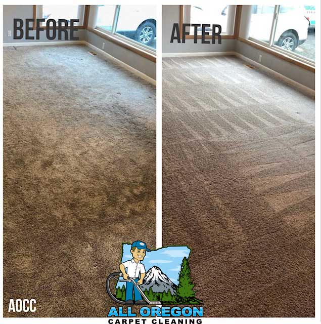 All Oregon Carpet Cleaning gallery