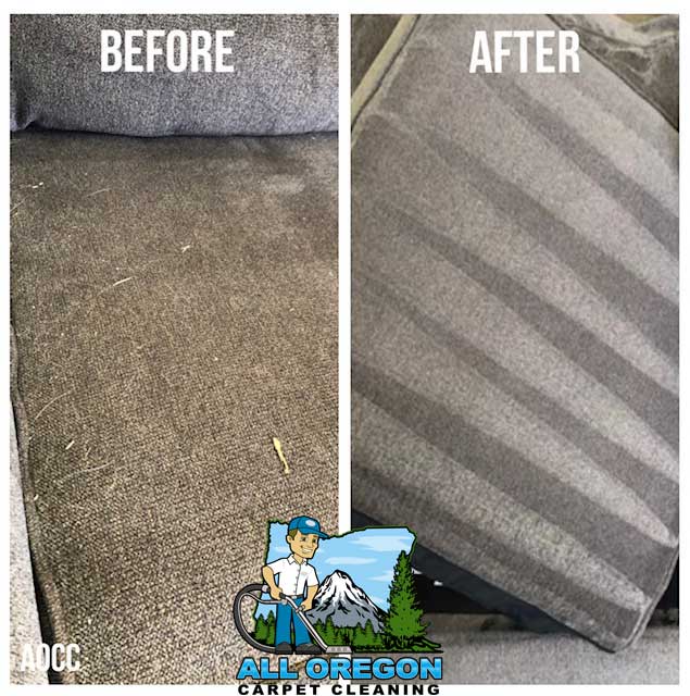 All Oregon Carpet Cleaning gallery