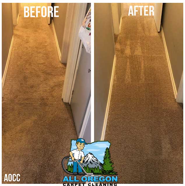 All Oregon Carpet Cleaning gallery