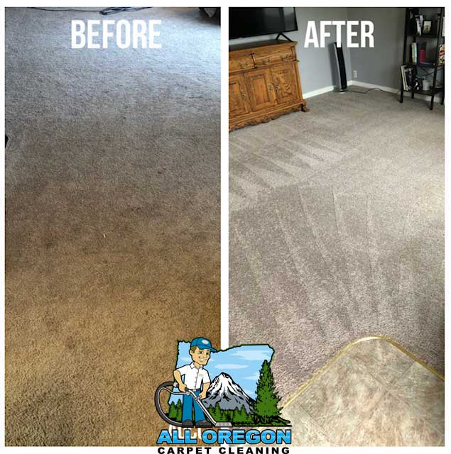 All Oregon Carpet Cleaning gallery