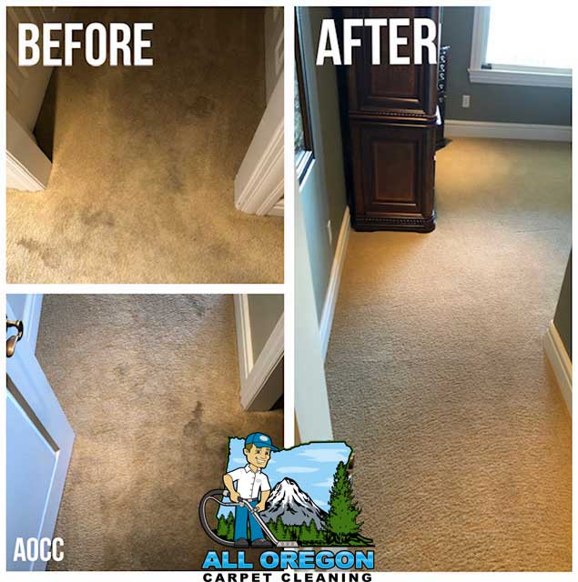 All Oregon Carpet Cleaning gallery
