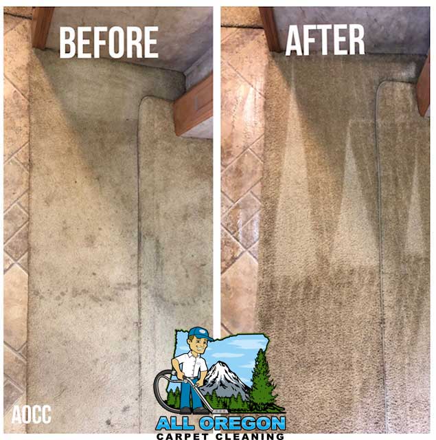 All Oregon Carpet Cleaning gallery