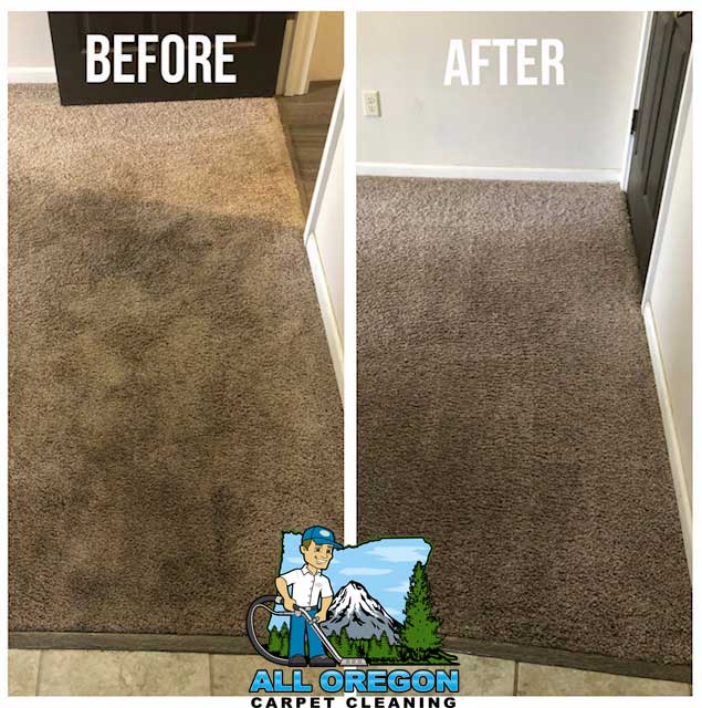 All Oregon Carpet Cleaning gallery
