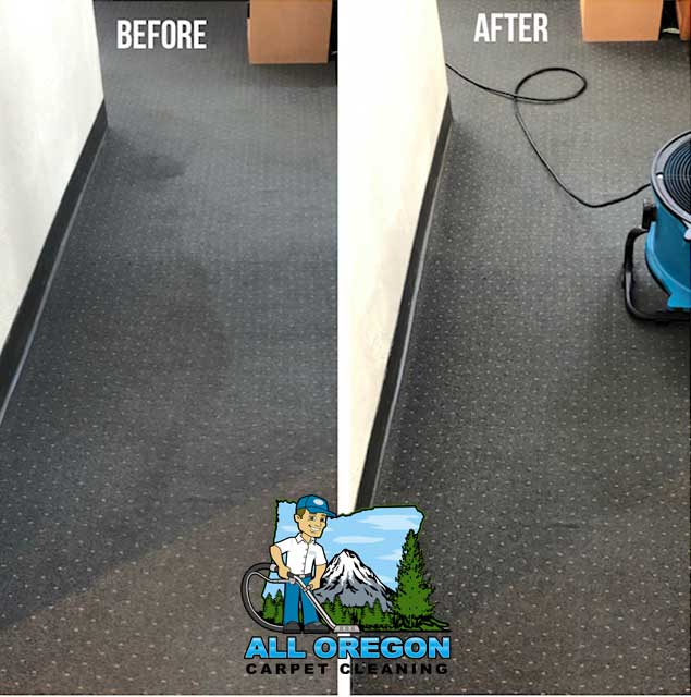 All Oregon Carpet Cleaning gallery