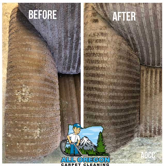 All Oregon Carpet Cleaning gallery