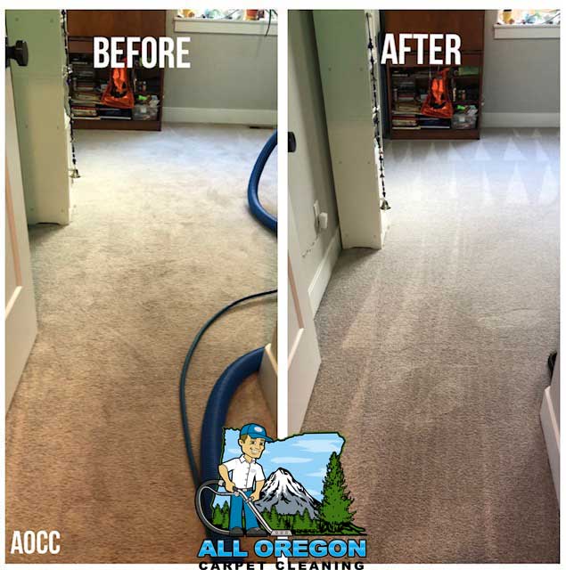 All Oregon Carpet Cleaning gallery