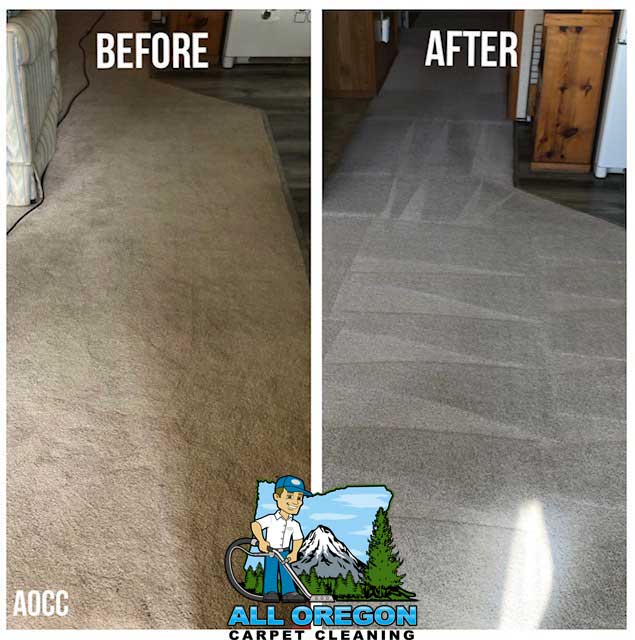 All Oregon Carpet Cleaning gallery