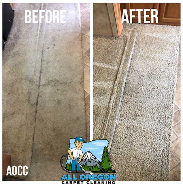 All Oregon Carpet Cleaning gallery