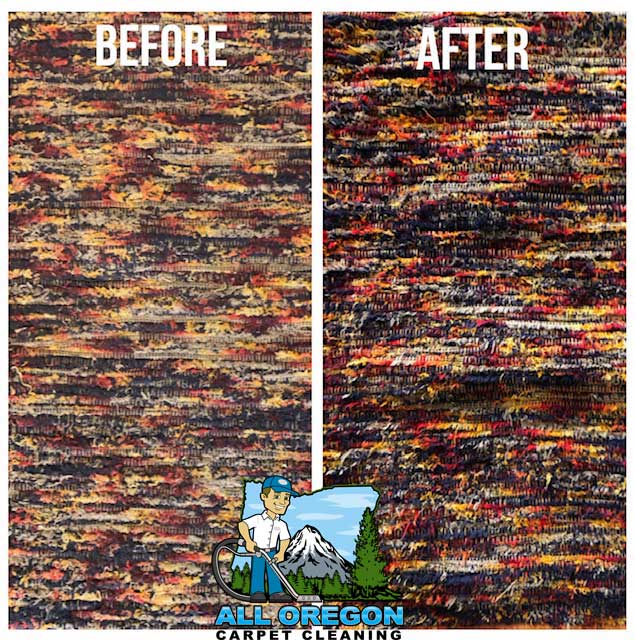 All Oregon Carpet Cleaning gallery